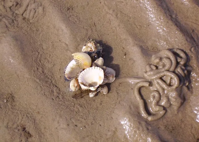 Hotel Nordsee Pellworm